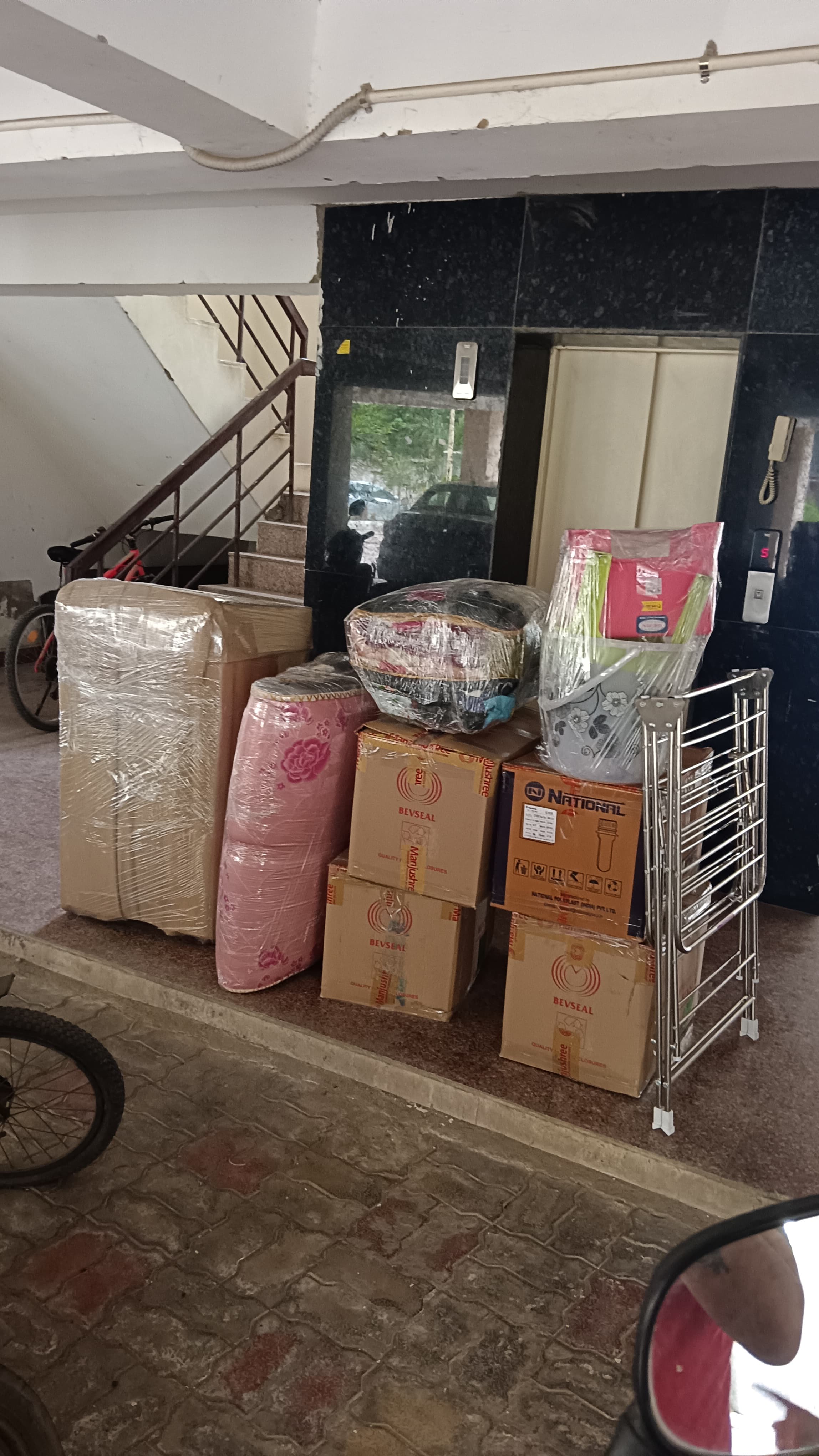 Professional Shifting Team Packing Cargo Safely